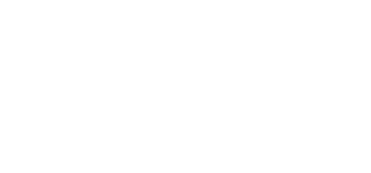 elitewallsplaster.com