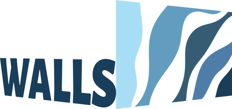 elitewallsplaster.com